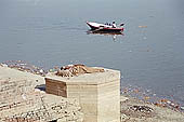 Varanasi - the ghats